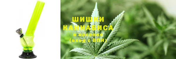 ешки Алзамай
