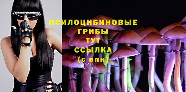 ешки Алзамай